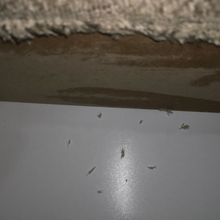 Ayıplı Koltuk Takımı Ve İade Talebime Cevap Verilmiyor