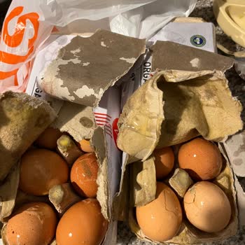 Eksik Ve Kırık Ürün Teslimatı Sonrası Yetersiz İade Süreci Nedeniyle Sağlık Ve Maddi Mağduriyet