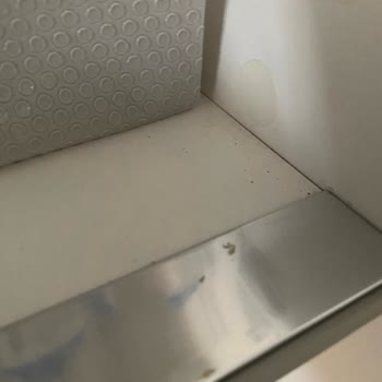 Temizlik Hizmeti Sonrası Mağduriyet Ve Çözümde İletişim Karmaşası Yaşadım