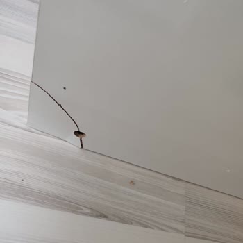 Geciken Teslimat, Kırık Parça Ve Çözülmeyen İade Talebi Mağduriyeti