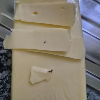 Kaşar peynirinde yabancı cisim tespiti ve güvenlik endişesi