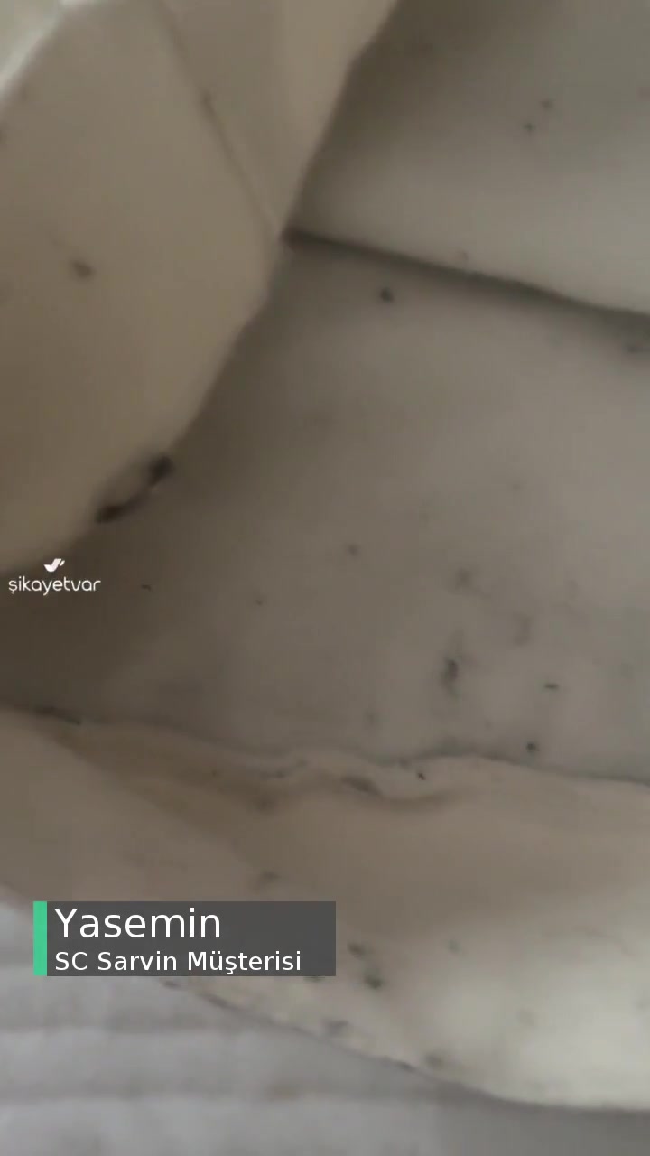 SC Sarvin Felaket Bir Tecrübe! videonun kapak resmi