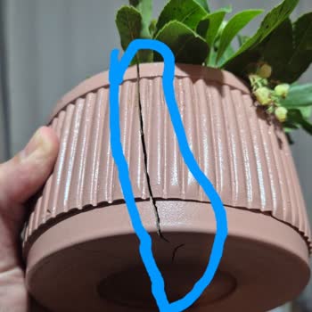 Kırık Gelen Saksı Çiçeği İçin Çözüm Sunulmaması Ve Yetersiz Müşteri Desteği