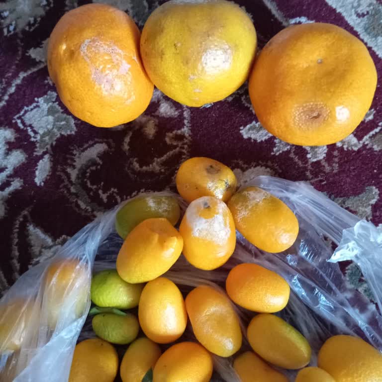 Migros Sanal Marketten Teslim Aldığım Çürük Ürünlerin İadesi Yapılmadı