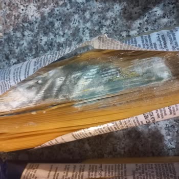 Nuh'un Ankara Makarnası Kullanmak İstediğimde İçinin Küflenmiş Olduğunu Gördüm