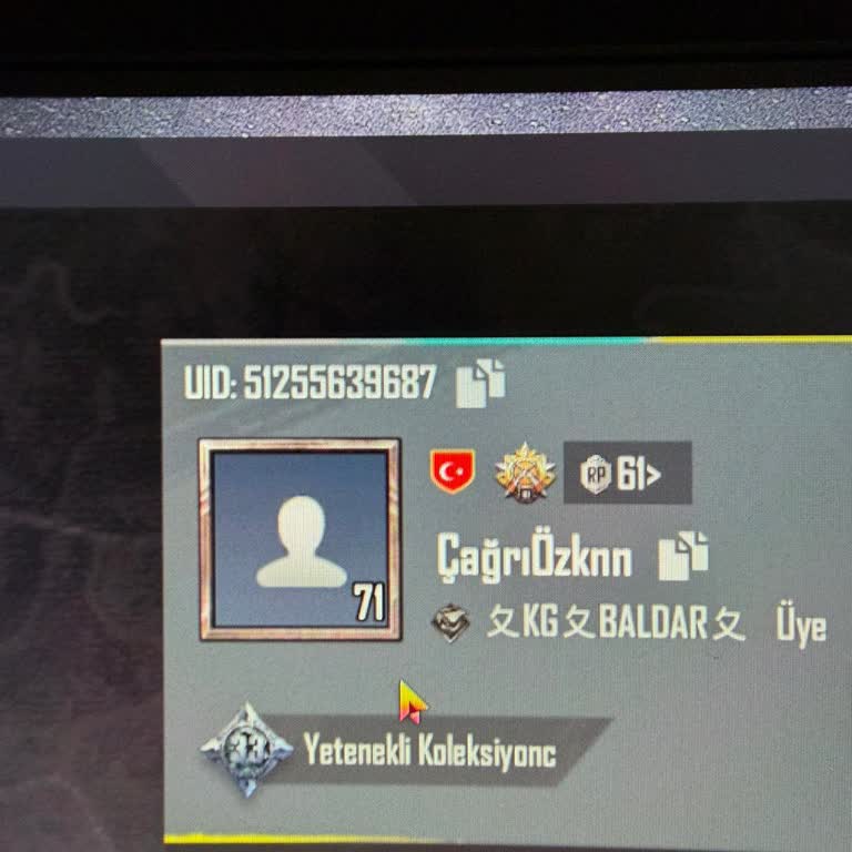 Ödeme Yapıldıktan Sonra PUBG UC Teslimatı Saatlerdir Gerçekleşmedi Destek Yok