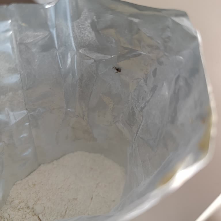 Arı Mama Bebek Mamasında Yabancı Cisim Endişesi