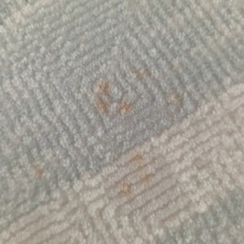 Merinos Halımda Renk Atması Ve 3 Aydır Sonuçsuz Kalan Şikayetim