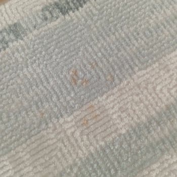 Merinos Halımda Renk Atması Ve 3 Aydır Sonuçsuz Kalan Şikayetim