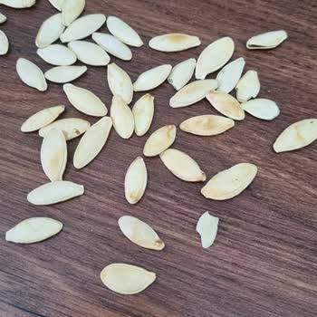 Tadım Tuzsuz Kabak Çekirdeğinde Boş Ve Acı Taneler Nedeniyle Yaşanan Kalite Sorunu