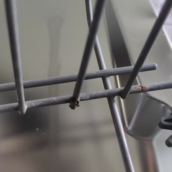 Bulaşık Makinesi Tellerinde Küflenme Ve Ücretsiz Değişim Adaletsizliği