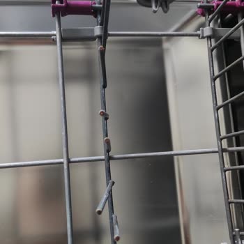 Bulaşık Makinesi Tellerinde Küflenme Ve Ücretsiz Değişim Adaletsizliği