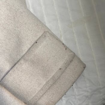 Kısa Sürede Tüylenen Ve Yırtılan Mango Kaban İçin Değişim Talebim Reddedildi