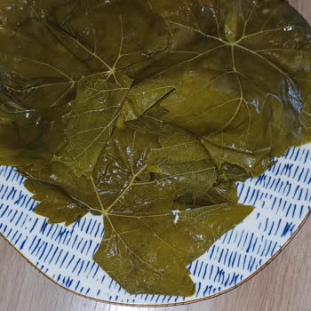 Organik Diye Aldığım Asma Yaprağı Kalitesiz Ve Kullanılamaz Çıktı, İade İstiyorum