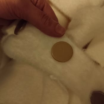 Hadise Giyim Fiş Olmadan Değişim Yapılmayan Hasarlı Ürün Mağduriyeti