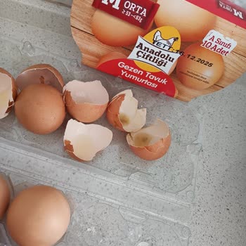Şok Marketten Aldığım Yumurtada Sağlığı Tehdit Eden Bozulma