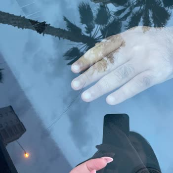 Sıfır Kilometre Dacia Sandero Stepway Ön Camında Beklenmedik Çatlak Sorunu