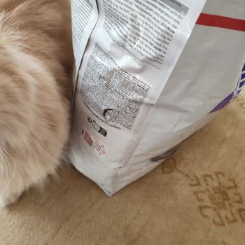 Migros Petimo Teslim Edilen Paket Üzerinde Birden Fazla Yırtık ve Delik Var