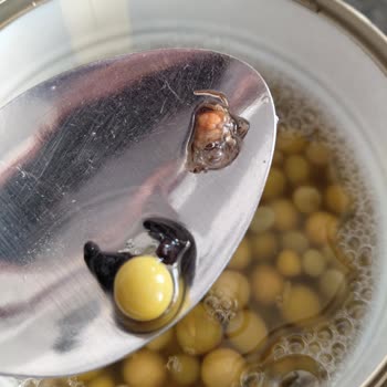 Migros Markalı Konserve Bezelyede Hijyen Sorunu Ve Ürün Değişim Talebi