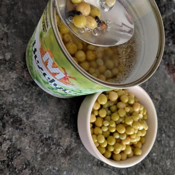 Migros Markalı Konserve Bezelyede Hijyen Sorunu Ve Ürün Değişim Talebi