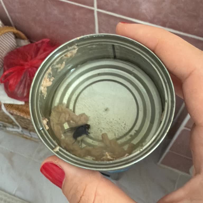 Superfresh Ton Balığında Sinek Ölüsüyle Karşılaştım Sağlığım Riske Girdi