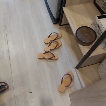 Tur Organizasyonunda Hayal Kırıklığı: Kirli Otel Ve Sorunlu Konaklama