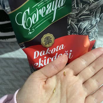 A101'den Aldığım Çekirdekte Kurt Çıkması Nedeniyle Sağlık Ve Ücret İadesi Talebi