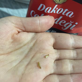 A101'den Aldığım Çekirdekte Kurt Çıkması Nedeniyle Sağlık Ve Ücret İadesi Talebi