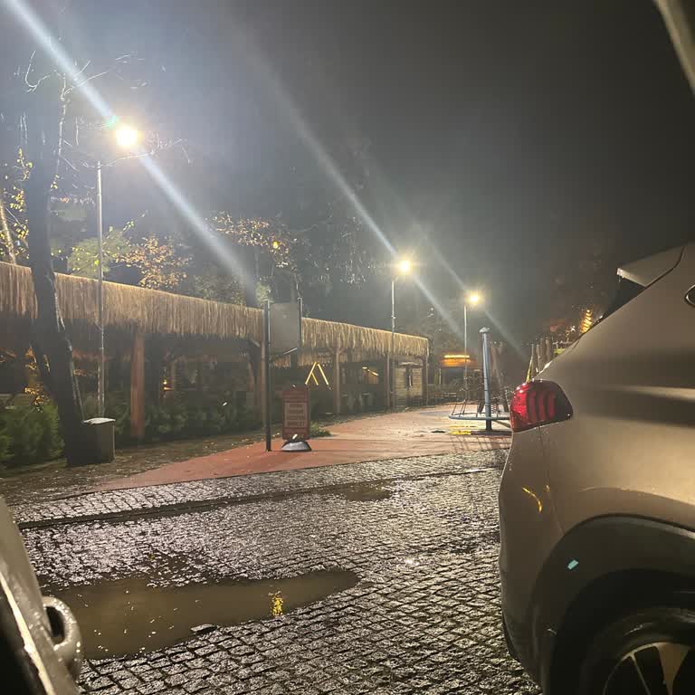 Doğa Park Yiğitler Cafe Restaurant Bungalov Bölümünde Oturmamıza İzin Vermedi