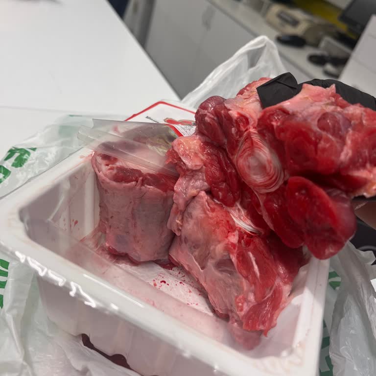 Son Tüketim Tarihi Geçmemiş Etin Bozuk Çıkması Ve Gıda Güvenliği Endişesi