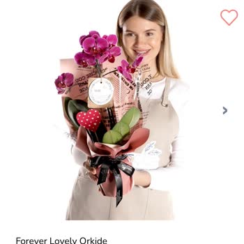 Taze Çiçek’ten Geç Ve Özensiz Orkide Teslimatı: Hayal Kırıklığı Ve Mahcubiyet