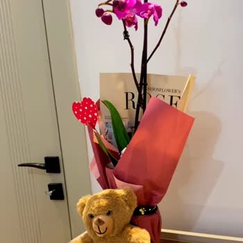 Taze Çiçek’ten Geç Ve Özensiz Orkide Teslimatı: Hayal Kırıklığı Ve Mahcubiyet