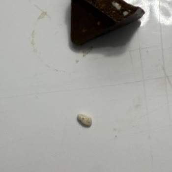 Toblerone Çikolatanın İçinden Taş Çıkması: Hijyen Ve Güven Sorunu