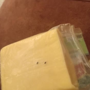 Satın Aldığım Kaşar Peynirden Böcek Çıkması Nedeniyle Hijyen Ve Güven Sorunu Yaşadım