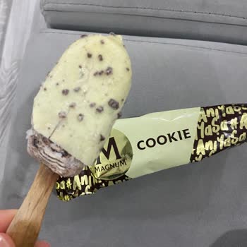 Bozuk Ve Erimiş Dondurma Teslimatı: Sağlığım Tehlikeye Girdi, Ürün Kullanılamaz Durumda