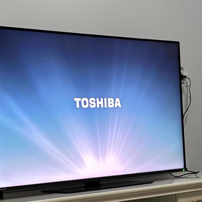 Toshiba Televizyonumun Ekran Sorunu İçin Destek Alamıyorum