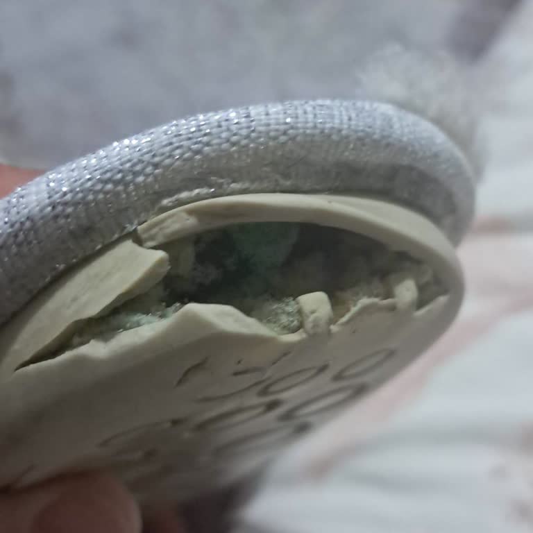 Bir Ayda Parçalanan Twigy Panduf Hayal Kırıklığı Ve Kalite Şüphesi