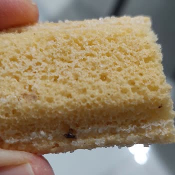 Hijyen Skandalı: Kedi Dili Bisküvide Kıl Ve Sinek Parçası Şoku