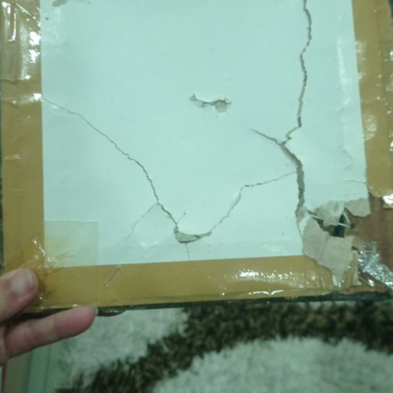 Temu'dan Alınan Yapışkan Askılar Eşyalarımı Kırdı