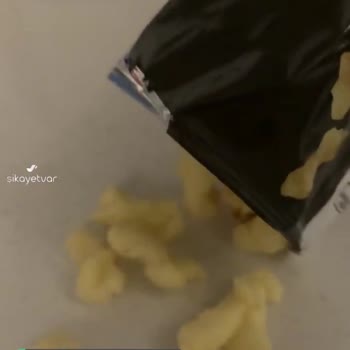 Çerezza'dan Çıkan Cisim