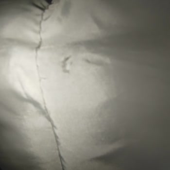 Kargo Sürecinde Zarar Gören Montumun Mağduriyetinin Giderilmesini Talep Ediyorum