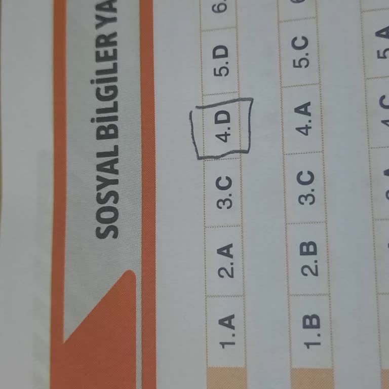 Bilfen Yayıncılık 6. Sınıf Kitabında Cevap Anahtarı Hatası Öğrenci Motivasyonunu Olumsuz Etkiledi