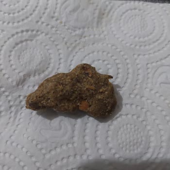 Aldığım Leblebide Yabancı Madde Ve Kötü Koku Şoku