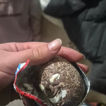 Ozmo Sürpriz Yumurtada Bozuk Ve Bayat Çikolata Deneyimi