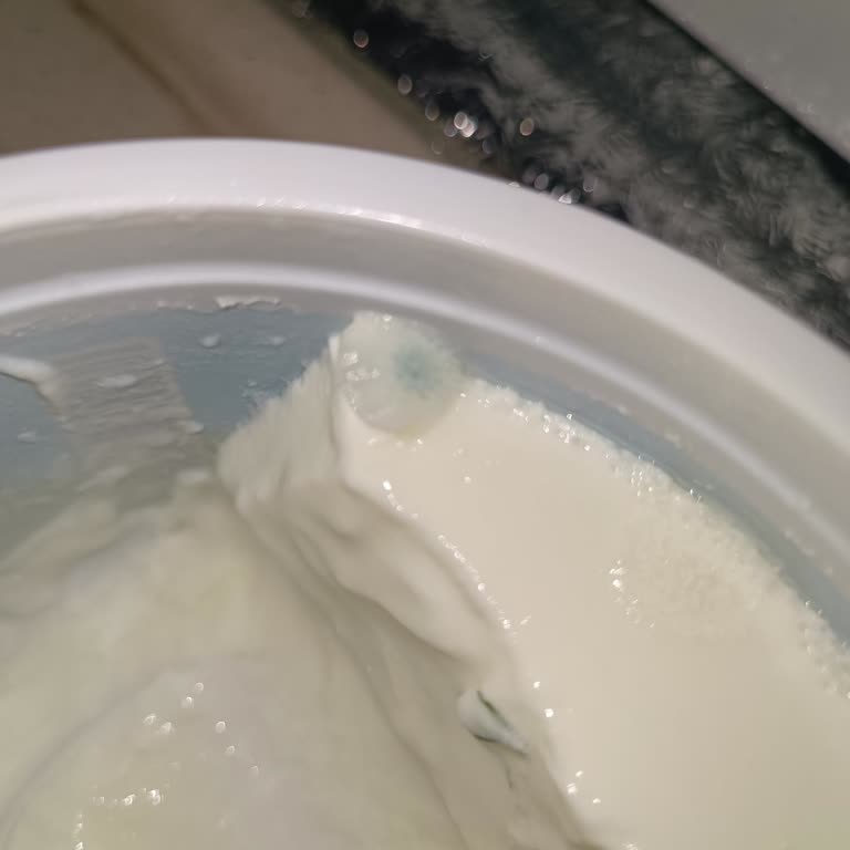 Son Kullanma Tarihi Geçmemiş Kapalı Yoğurtta Küf: Sağlık Ve Güvenilirlik Endişesi