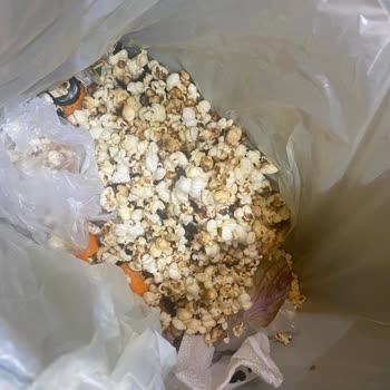 Patlamayan Mısır, Evi Ve Komşuları Rahatsız Etti!