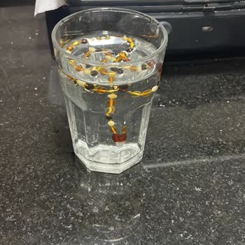 Kehribar Bileklik Orijinalliği Şüpheli, Değişim Talep Ediyorum