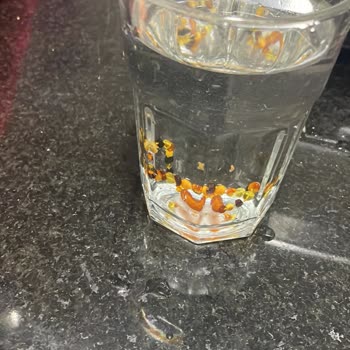 Kehribar Bileklik Orijinalliği Şüpheli, Değişim Talep Ediyorum