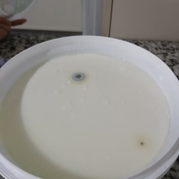 Mopaş’tan Aldığım Pınar Yoğurt Bozuk Çıktı: Ücret İadesi Ve Ürün Kontrolü Talebim