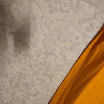 Yüksek Fiyatlı Halı Yıkama Makinesi Bekleneni Karşılamadı, Lekeler Arttı